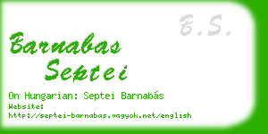 barnabas septei business card